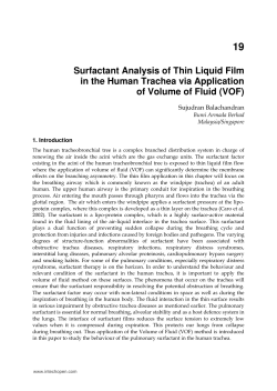 Surfactant Analysis of Thin Liquid Film in the Human Trachea via