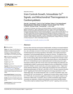 Irisin Controls Growth, Intracellular Ca2+ Signals, and Mitochondrial
