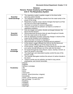 The Respiratory System - Brunswick School Department