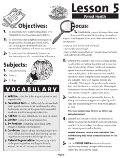 Lesson 5 - The Forest Foundation