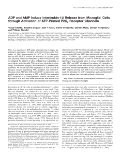 ADP and AMP Induce Interleukin-1Я Release