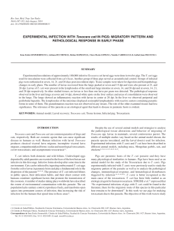 EXPERIMENTAL INFECTION WITH Toxocara