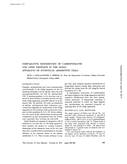 COMPARATIVE DISTRIBUTION OF CARBOHYDRATES AND LIPID