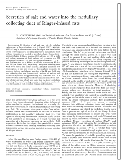 Secretion of salt and water into the medullary collecting duct of