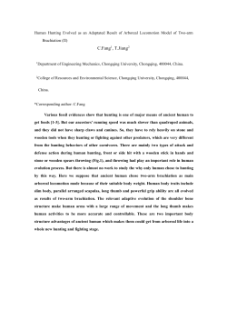 Human Hunting Evolved As an Adaptated Result of Arboreal