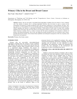 Primary Cilia in the Breast and Breast Cancer