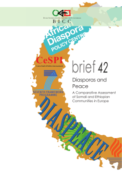 Diasporas and Peace - BICC Bonn International Center for Conversion