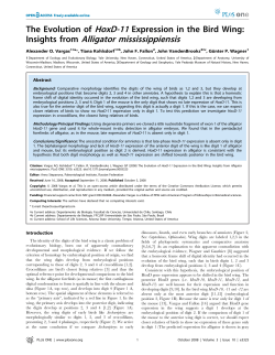 Insights from Alligator mississippiensis