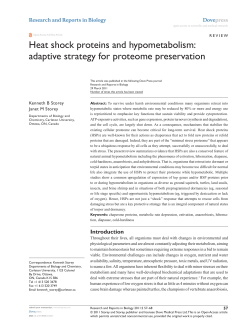Heat shock proteins and hypometabolism