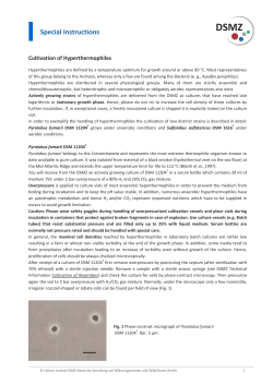 Cultivation of Hyperthermophiles