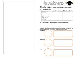 1. Complete the Chart: Involuntary Muscle Voluntary Muscle