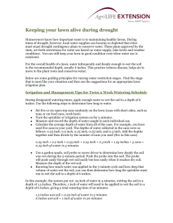 Keeping your lawn alive during drought