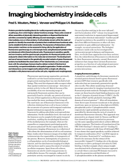 Imaging biochemistry inside cells