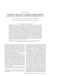 Tending Ants - Luther College