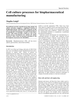 Cell culture processes for biopharmaceutical