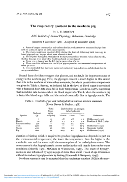 The respiratory quotient in the newborn pig