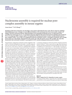 Nucleosome assembly is required for nuclear