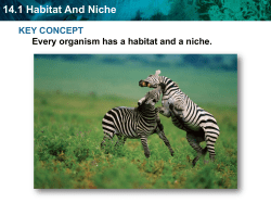 14.1 Habitat And Niche