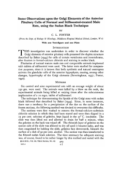 Some Observations upon the Golgi Elements of the Anterior Pituitary