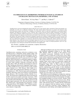 FLUORESCENCE IN ARTHROPODA INFORMS ECOLOGICAL