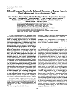 Efficient Promoter Cassettes for Enhanced Expression of Foreign