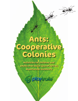 Ants: Cooperative Colonies