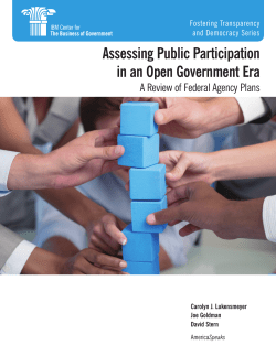 Assessing Public Participation in an Open Government Era