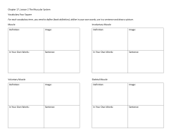 Chapter 17, Lesson 2 The Muscular System Vocabulary