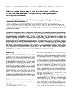 Mitochondrial Targeting of the Arabidopsis F1-ATPase g