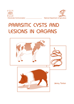 PARASITIC CYSTS AND LESIONS IN ORGANS