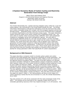 1 A System Dynamics Study of Carbon Cycling and Electricity