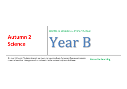 KS1 Autumn 2 PDF Print
