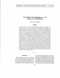 The Origin of the Malpighiaceae