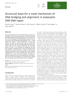 Structural basis for a novel mechanism of DNA bridging and