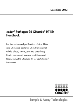 PreHandbook Template Word 2010