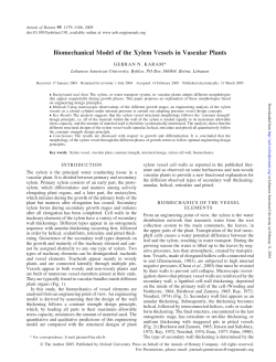 Biomechanical Model of the Xylem Vessels in Vascular Plants