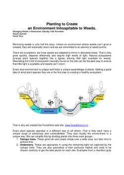 Planting to Create an Environment Inhospitable to Weeds.