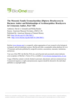 The Mesozoic Family Eremochaetidae (Diptera