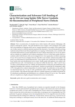Characterization and Schwann Cell Seeding of up to 15.0 cm Long