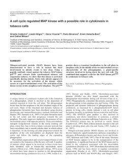 A cell cycle regulated MAP kinase with a possible role in cytokinesis