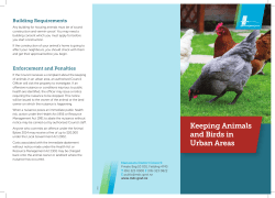 Keeping Animals and Birds in Urban Areas