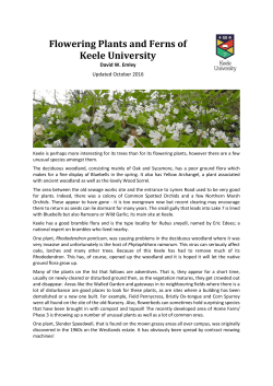 Flowering Plants and Ferns of Keele University October 2016