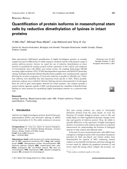 Quantification of protein isoforms in mesenchymal stem cells by