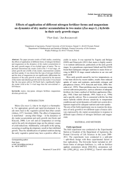 Effects of application of different nitrogen fertilizer forms