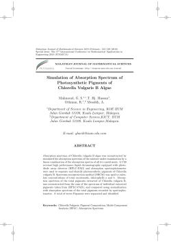 Simulation of Absorption Spectrum of Photosynthetic Pigments of