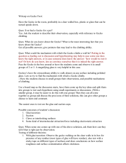 Writeup on Gecko Foot: Have the Gecko in the room, preferably in a