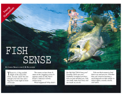 Fish Sense - Minnesota DNR