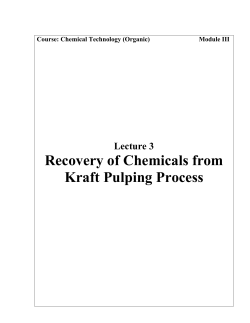 Recovery of Chemicals from Kraft Pulping Process