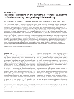 Inferring outcrossing in the homothallic fungus Sclerotinia