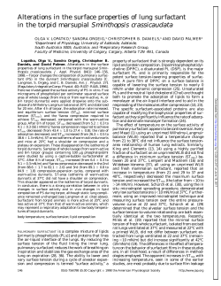 Alterations in the surface properties of lung surfactant in the torpid